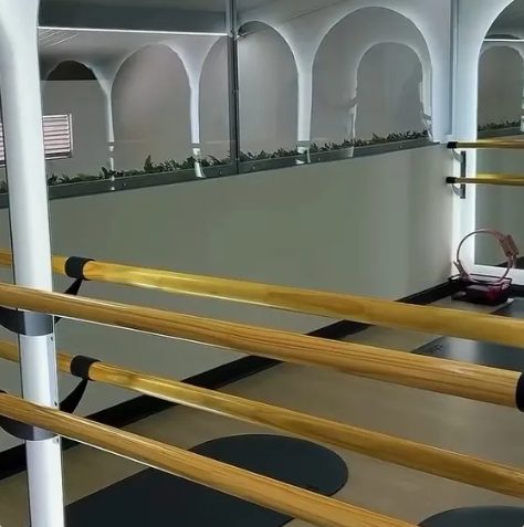 Barras de Barre en Guácima